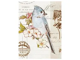 Альбом UFO 20sheet Bird 22х32см (20sheet S22x32 Bird) - мініатюра 2