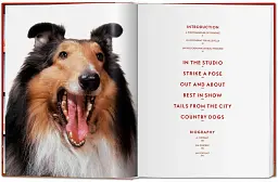 Chandoha. Dogs. Photographs 1941–1991 - мініатюра 3