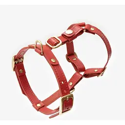 Шкіряна анатомічна шлея для собак "Classy" XS червона (обхват грудини 28-36 см)