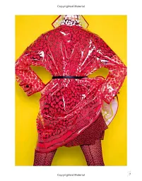The Red Book: Fashion, Styles & Stories - мініатюра 5