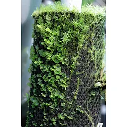 Тропічна бавовна Repti-Zoo Plant Cotton L 44х44см (YZM002) для моху і рослин у тераріум - мініатюра 7