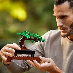 Конструктор LEGO Botanicals Дерево Бонсай 878 деталей (10281) - мініатюра 8