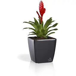 Вазон Plastkon Quadrato Flower Lover 25x25x24 см антрацит - мініатюра 3