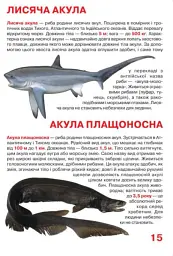 Велика книжка. Акули - Олег Зав'язкин - мініатюра 3
