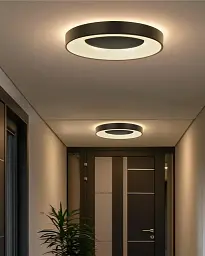 Люстра із пультом світлодіодна, стельовий світильник Goldlux 326720 Witold 50 Led 1x72W 3000K-6000K 8000Lm IP44 Bk - мініатюра 2
