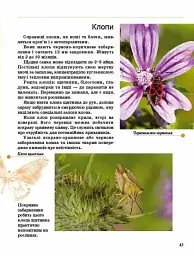 Комахи та інші - Тетяна Жабська - мініатюра 10