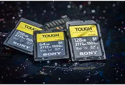 Картка пам'яті Sony 128 GB SDXC C10 UHS-II U3 V60 SFM128T.SYM - мініатюра 3