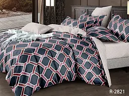 Комплект постільної білизни з компаньйоном (R-2821) Євро TAG tekstil pbe0037299 - мініатюра 1