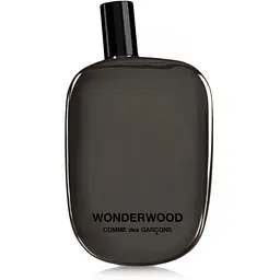 Парфумована вода Comme Des Garcons Wonderwood 9 мл