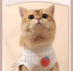 Одяг для котів після операції Hoopet Pure Cotton Strawberry M - мініатюра 4