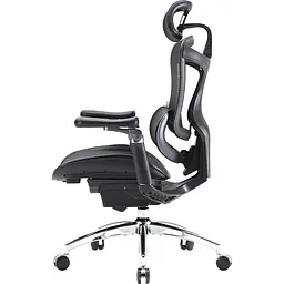Крісло офісне Sihoo Doro C300 Pro Mesh Black (DORO-C300-PRO-M101) - мініатюра 3