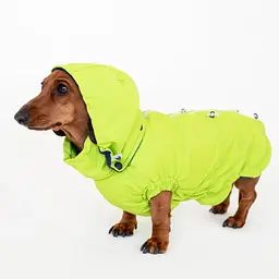 Вітровка для такс Hat-Dog неон (M/Дівчинка) - мініатюра 2