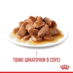 Вологий корм для кішок з чутливою шкірою і проблемною шерстю Royal Canin Hair & Skin, шматочки в соусі, 85 г - мініатюра 5