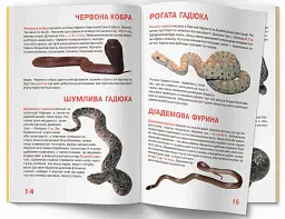Велика книжка. Отруйні змії - мініатюра 5