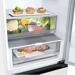 Холодильник LG GW-B509 FVFW - мініатюра 17