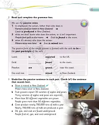 Grammar Goals. Level 5. Student's Book & CD Rom. American Edition - мініатюра 3
