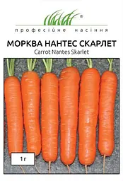 Насіння моркви Нантес Скарлет 1 г (Професійне насіння)