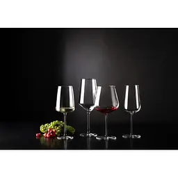Келих для білого вина Schott Zwiesel Light & Fresh Vivid Senses 363 мл 1 шт. (122426) - мініатюра 9