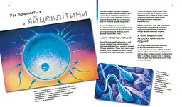 Книга Ранок X та Y, дівчинка або хлопчик? - Патрік А. Боерле (С1354004У) - мініатюра 3