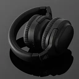 Навушники Final Audio UX3000 SV Black (90404074) - мініатюра 11