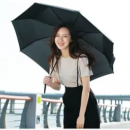 Парасолька автомат Pinlo Automatic Umbrella (ZDS01XM) - мініатюра 8