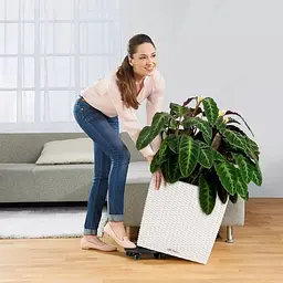 Вазон Lechuza Cube Cottage 30 графітовий (15373) - мініатюра 5