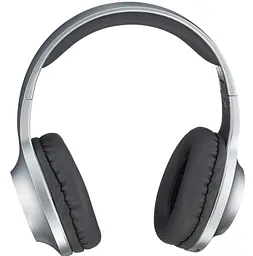 Гарнітура Panasonic RB-HX220BEE-S (RB-HX220BEES) - мініатюра 11