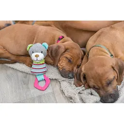 Іграшка Trixie Junior Медведь для собак з кільцем зі звуком 23 см текстиль/плюш - мініатюра 3