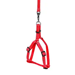 Шлея з повідцем DOG Extreme для цуценят, кошенят, кроликів, регульована довжина (2007023000008) - мініатюра 2