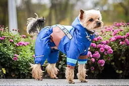 Комбінезон Smart Pet Snowfall