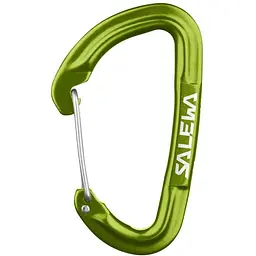Карабін Salewa Hot G3 Wire Green (1054-013.003.1321)