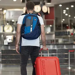 Рюкзак міський Swissbrand Oregon 26 Blue (SWB_BLORE601U), Синій - мініатюра 8