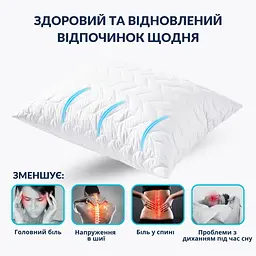Набір подушок 2 шт 50х70 Breeze стебаний чохол на блискавці (8-35955*001) - мініатюра 3