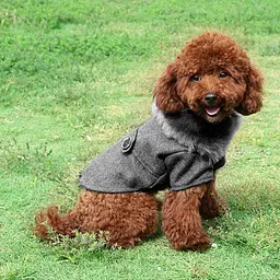 Пальто з хутряним коміром для собак Derby Grey, S - мініатюра 5