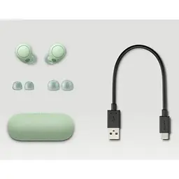 Бездротові навушники Sony WF-C700N TWS Sage Green WFC700NG.CE7 - мініатюра 4