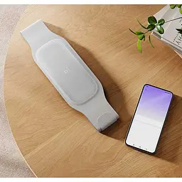 Масажер для тіла MiJia Smart Waist Massager EMS (MJYBAMY1-ZJ) [161164] - мініатюра 6