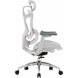 Офісне крісло Sihoo DORO C300L Mesh White (DORO-C300L-A3-102) - мініатюра 4