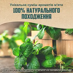 Зубна паста Aquafresh Трав'яна свіжість з натуральними компонентами 75 мл - мініатюра 3