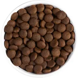 Сухий корм Ambrosia Grain Free для дорослих собак усіх порід з куркою та овочами 2 кг - мініатюра 2