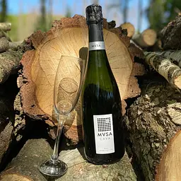Вино ігристе MVSA Cava DO Brut біле брют 0.75 л - мініатюра 6