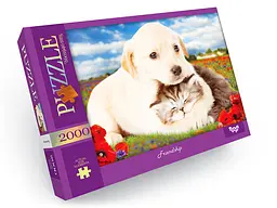 Пазли Danko Toys Дружба 2000 елементів C2000-01-09