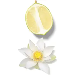 Парфумована вода для жінок Rituals Oriental Essences Soleil d'Or 50 мл - мініатюра 4