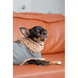 Шлея-жилет Pet Fashion Rob для собак розмір XS2 - мініатюра 8