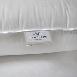 Подушка Penelope - Twin Luxe пухова 70x70 - мініатюра 3