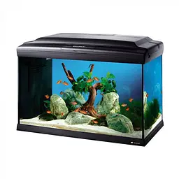 Акваріум Ferplast CAYMAN 60 PROFESSIONAL - 75 L 62.5 x 34.5 x h 45.5 cm