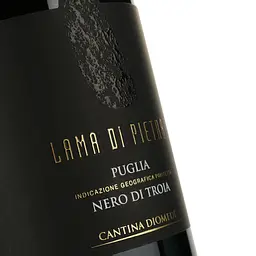 Вино Lama Di Pietra Nero Di Troia червоне сухе 0.75 л - мініатюра 3