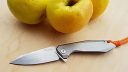 Ніж складаний туристичний Ruike P135-SF, (9.2 см) 14C28N / steel 420 сірий - мініатюра 13