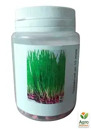 Насіння Agro-Market Мікрозелень Пшениця у банці 30 г (45223) - мініатюра 2
