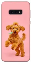 TPU чохол Demsky Happy poodle для Samsung Galaxy S10e