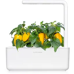 Змінний картридж Click & Grow Smart Garden Жовтий солодкий перець, 3 капсули (8950) - мініатюра 5